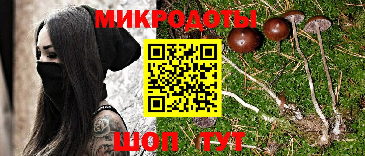 Норильск  Псилоцибиновые грибы Psilocybe  Вход с VPN 