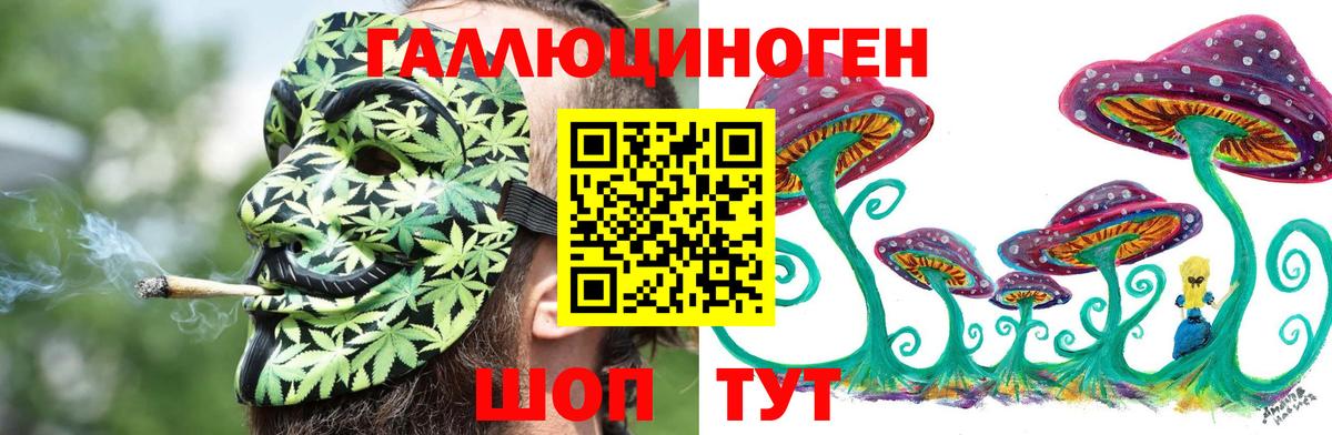 Галлюциногенные грибы Magic Shrooms Норильск